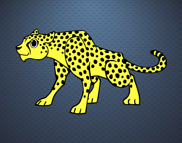 Un leopardo