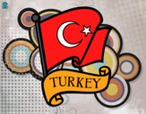 Dibujo Bandera de Turquía pintado por magp13