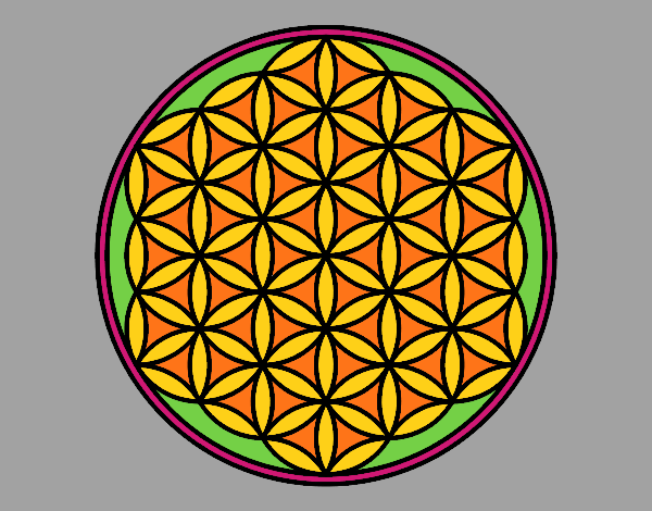 Dibujo Mandala flor de vida pintado por MELCOCHA