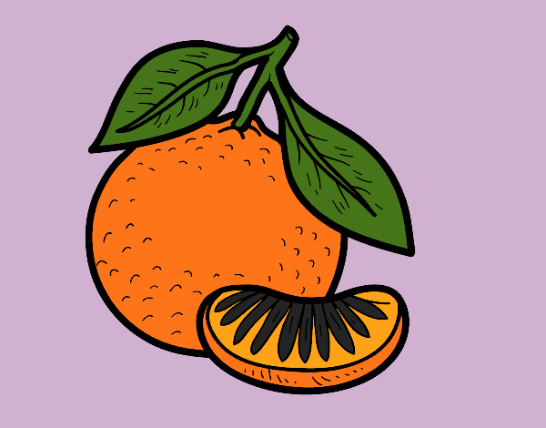 Dibujo Una mandarina pintado por MELCOCHA