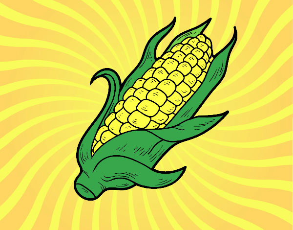 Dibujo Una mazorca de maíz pintado por MFEG2006