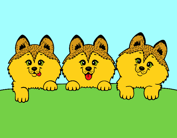 Dibujo 3 perritos pintado por carmennona