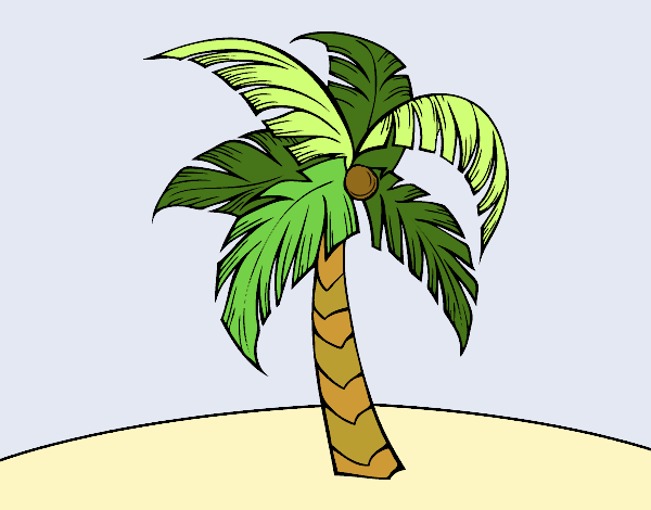 Dibujo Una palmera pintado por nenita5