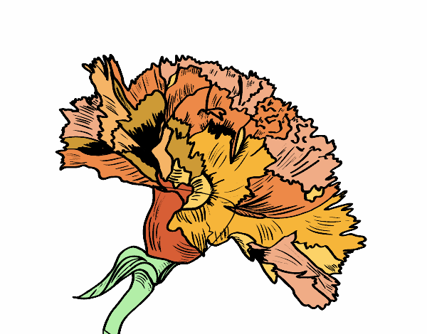 Dibujo Flor de clavel pintado por evaglam