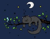 Dibujo El gato y la luna pintado por maximolove