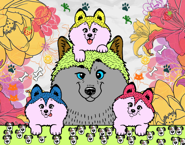 Dibujo Familia Husky pintado por giulyfelpe