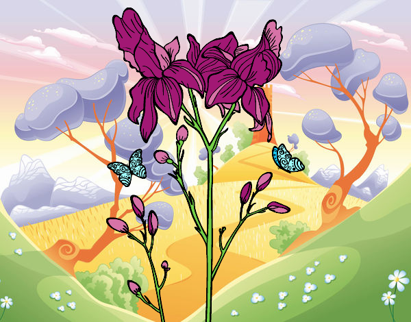 Dibujo Flor de Iris pintado por Biankyss
