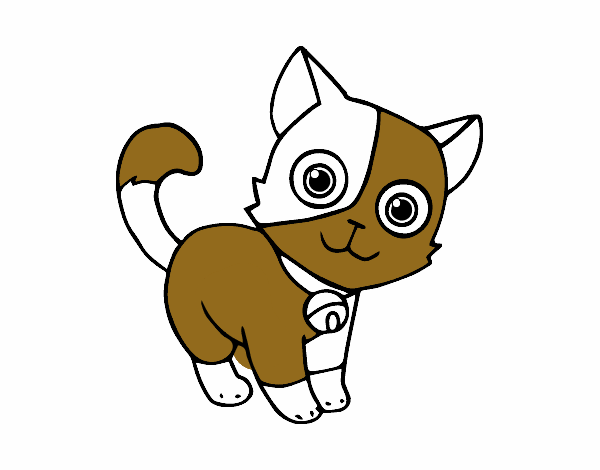 Dibujo Gato doméstico pintado por saulas 