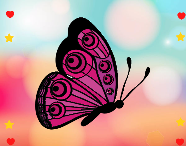 mariposa hermosa