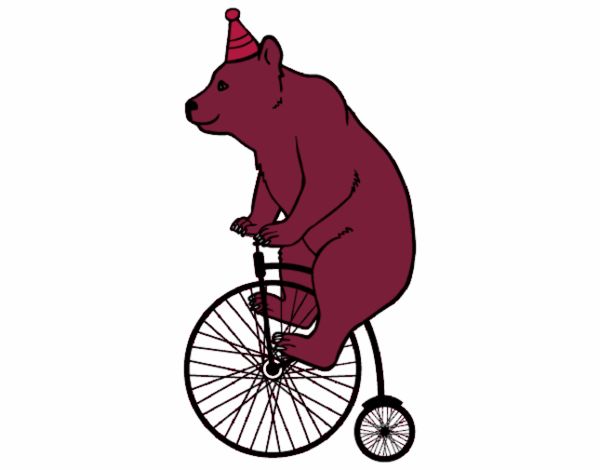 oso en bicicleta