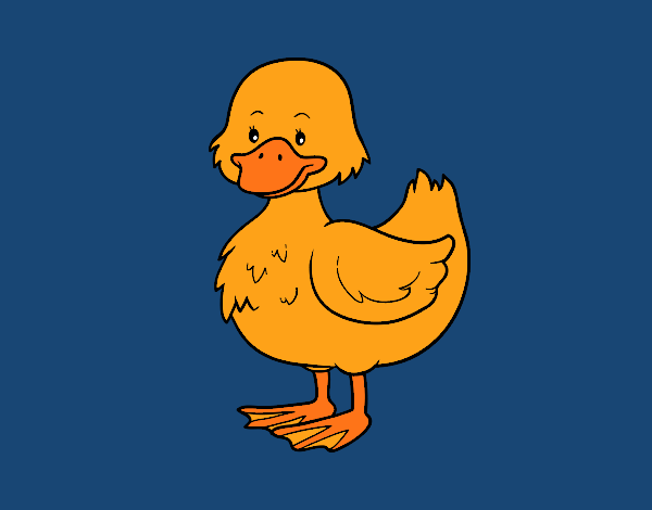 el pato