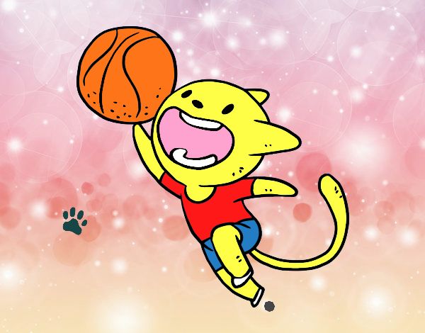 Gato basketbolista