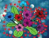 Dibujo Primula pintado por marifer200