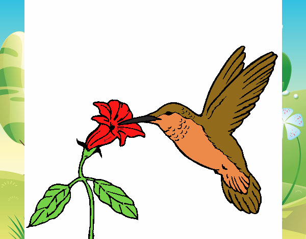 Dibujo Colibrí y una flor pintado por windy