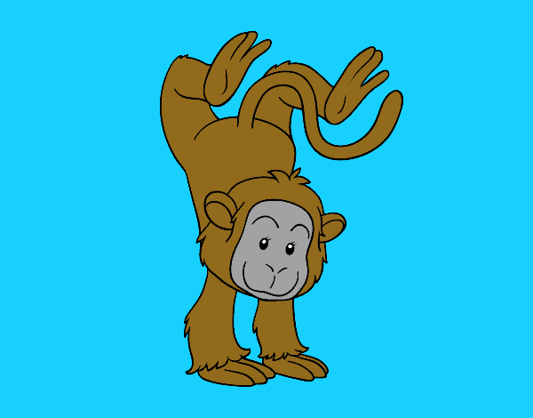 Mono equilibrista
