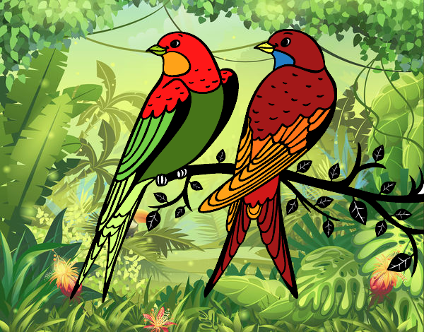 Dibujo Pareja de pájaros pintado por JOSEMG