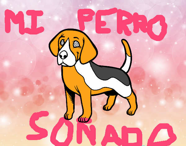 Perro Beagle