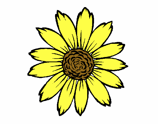 Dibujo Girasol pintado por krystel95