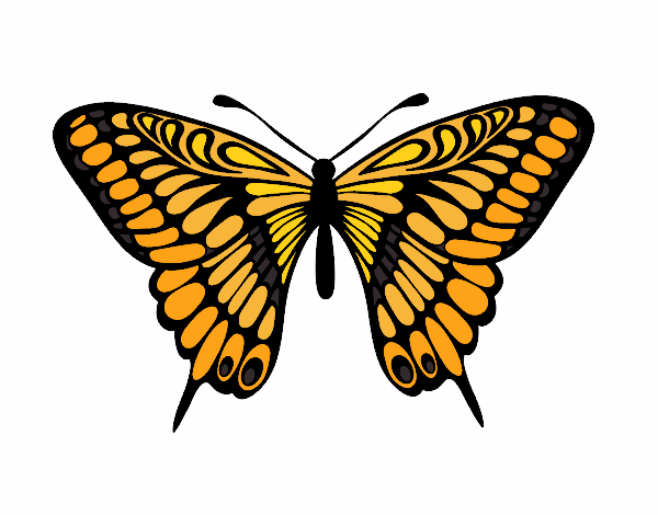 Dibujo Mariposa gran mormón pintado por krystel95