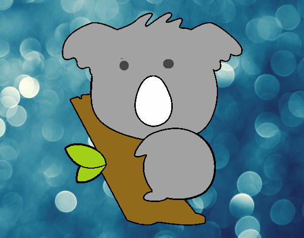 Koala bebé