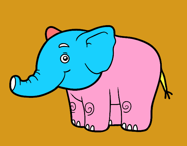Un elefantito