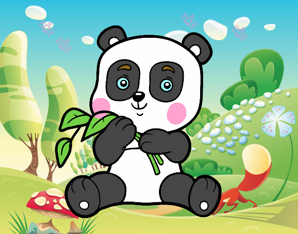 bebe panda 