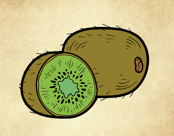 Dibujo El kiwi pintado por Ecologia