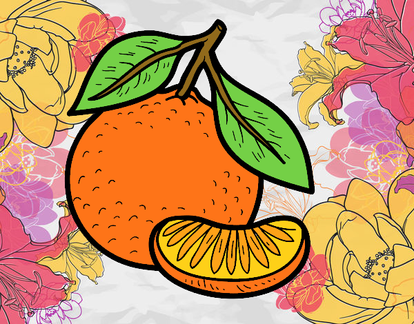 Dibujo Una mandarina pintado por Ecologia