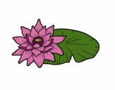 Dibujo Una flor de loto pintado por paola26