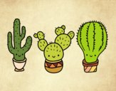 Dibujo 3 mini cactus pintado por LUISNADO
