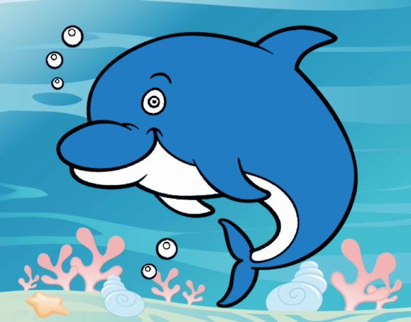 Delfín bufeo