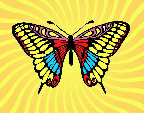 Dibujo Mariposa gran mormón pintado por martanoemi