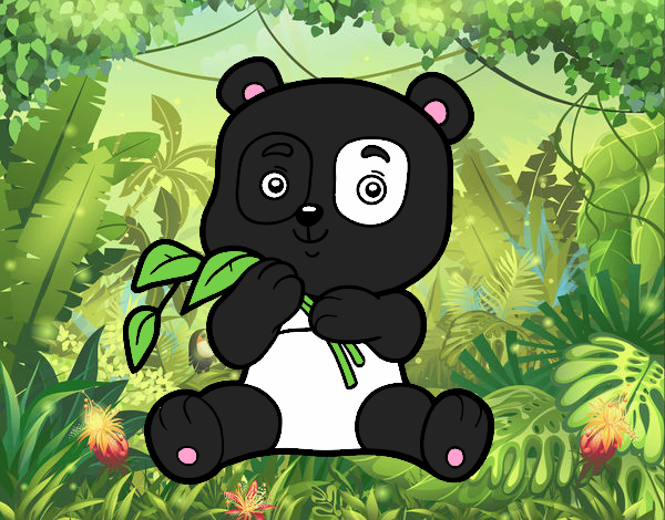 Dibujo Un oso panda pintado por NMA77