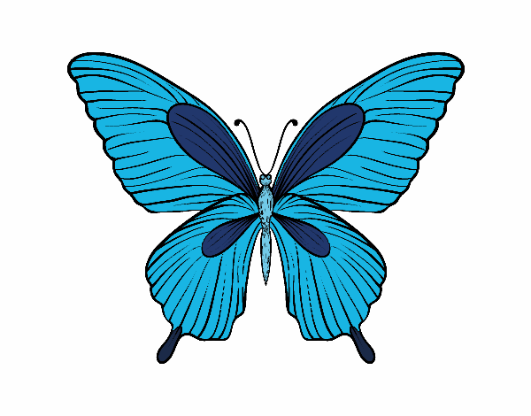 Dibujo Mariposa tropical pintado por Ytap