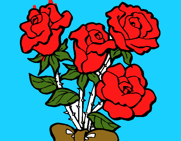 rosas de mama