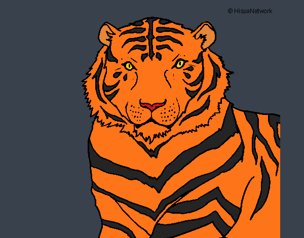 Dibujo Tigre 3 pintado por Joer
