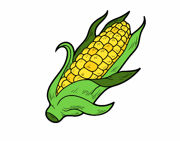 Dibujo Una mazorca de maíz pintado por muffinpupy