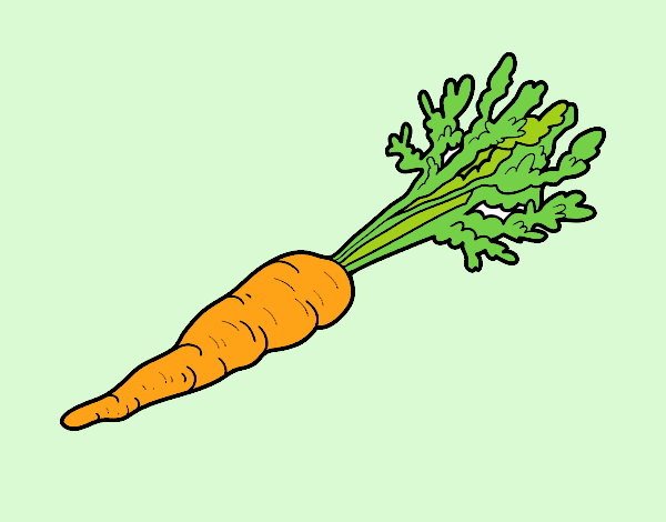Dibujo Zanahoria ecológica pintado por muffinpupy