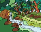 Dibujo Paisaje de bosque con un río pintado por Ytap