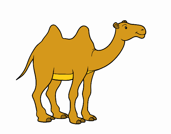 Dibujo de Camello africano pintado por en Dibujos.net el día 22-05-17 a