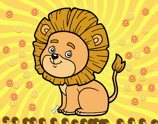 un leon muy lindo Grrrrr