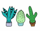 Dibujo Mini cactus pintado por Zurami