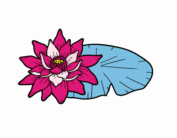 Dibujo Una flor de loto pintado por marita18