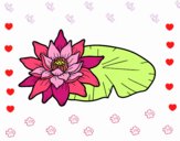 Dibujo Una flor de loto pintado por NIKCY