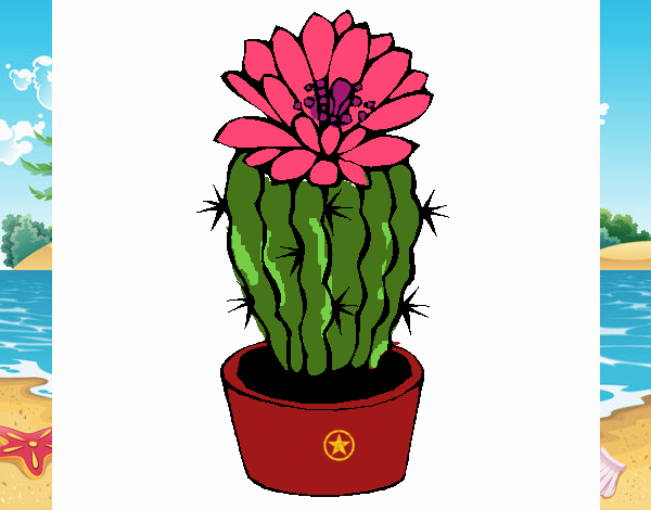 Dibujo Cactus con flor pintado por Juice