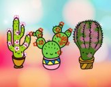 201725/3-mini-cactus-naturaleza-flores-pintado-por-adrianala-11038798_163.jpg