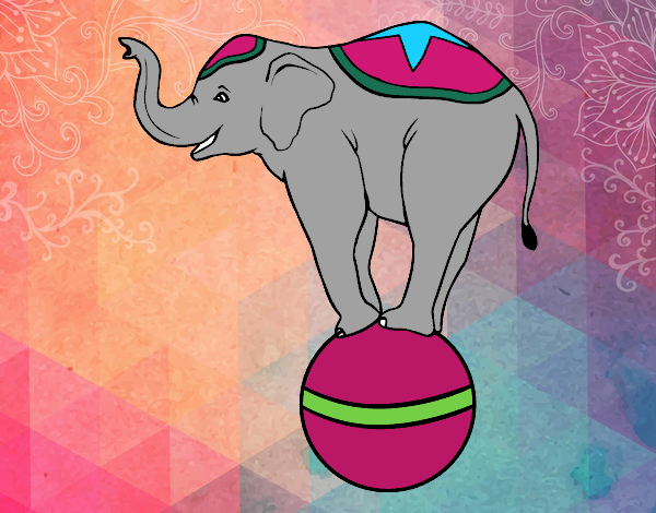 Dibujo Elefante equilibrista pintado por brichuli