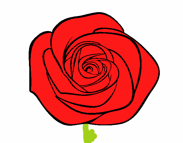 la rosa eremosa