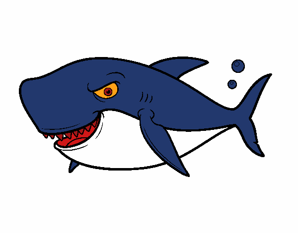 Tiburón dentudo