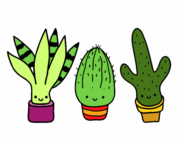 mini cactus de amor